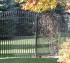 AmeriFence Corporation Wichita - Custom Iron Gate Fencing, 1220 Quad Flare Overscallop Ornamental Iron Photo