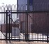 AmeriFence Corporation Wichita - Custom Gates, Ornamental Slide Gate